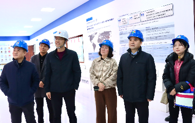 陽(yáng)光電源股份、宜賓智能制造行業(yè)協(xié)會(huì)、宜賓安徽商會(huì)調(diào)研遠(yuǎn)東電纜（宜賓）