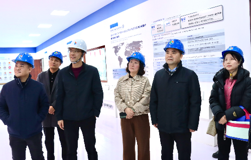 陽(yáng)光電源股份、宜賓智能制造行業(yè)協(xié)會(huì)、宜賓安徽商會(huì)調(diào)研遠(yuǎn)東電纜（宜賓）
